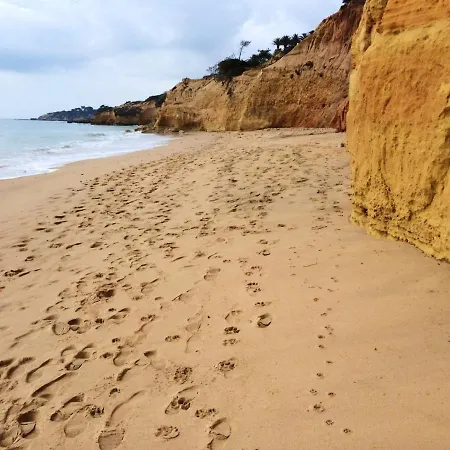 Spacious In 130 M² With Pool Apartamento *