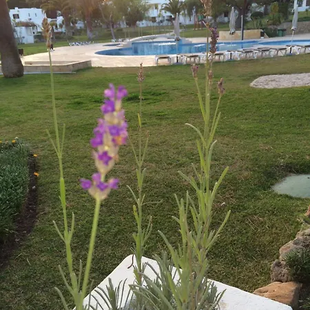 Spacious In 130 M² With Pool Olhos de Agua (Albufeira)