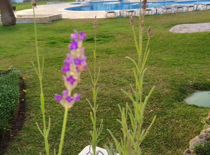 Spacious In 130 M² With Pool Appartamento Olhos de Agua (Albufeira)